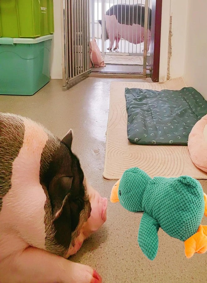 OOXYG Pig Toy - Toys for Pigs, Duck Squeaky Pig Toy - Calming Duck Toys for Mini Pigs, Interactive Pig Chew Plush Enrichment Ducks for Pet Pigs Supplies to Keep Them Busy - Image 4